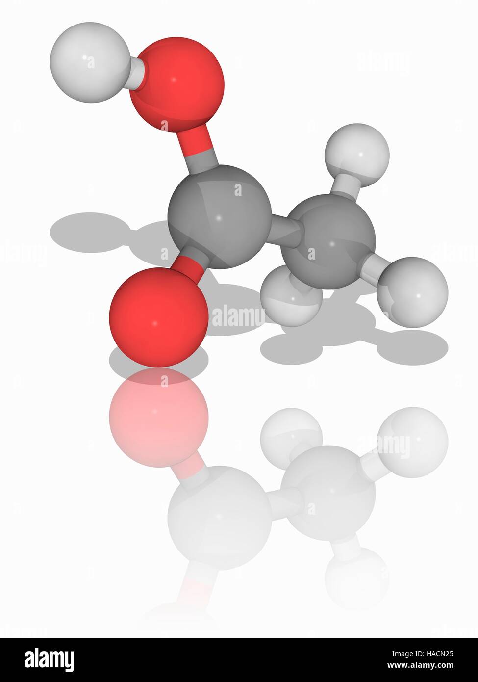 Acido acetico. Il modello molecolare di acido acetico (C2.H4.O2, acido etanoica), il componente principale di aceto. Gli atomi sono rappresentati da sfere e sono codificati a colori: carbonio (grigio), Idrogeno (bianco) e ossigeno (rosso). Illustrazione. Foto Stock