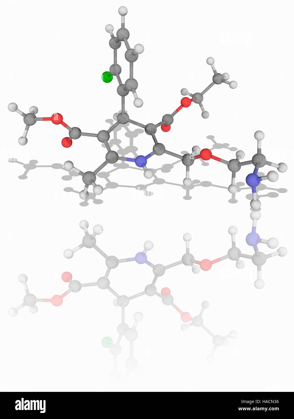 Amlodipina. Il modello molecolare di bloccanti del canale di calcio di amlodipina farmaco (C20.H25.Cl.N2.O5), usato per trattamento di ipertensione e angina e malattia coronarica. Gli atomi sono rappresentati da sfere e sono codificati a colori: carbonio (grigio), Idrogeno (bianco), cloro (verdi), Azoto (blu) e ossigeno (rosso). Illustrazione. Foto Stock
