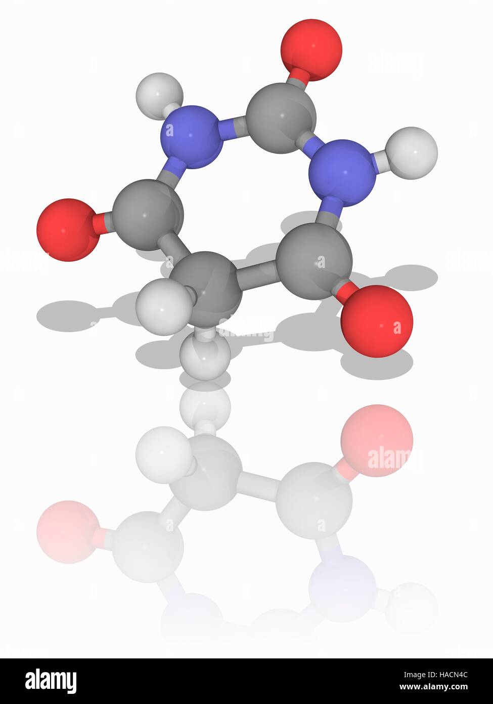 Acido barbiturico. Il modello molecolare del composto chimico acido barbiturico (C4.H4.N2.O3), noto anche come malonylurea o 6-hydroxyuracil. Questo prodotto chimico non è farmacologicamente attivo, ma è utilizzato in reazioni per la produzione di farmaci di barbiturato. Gli atomi sono rappresentati da sfere e sono codificati a colori: carbonio (grigio), Idrogeno (bianco), Azoto (blu) e ossigeno (rosso). Illustrazione. Foto Stock