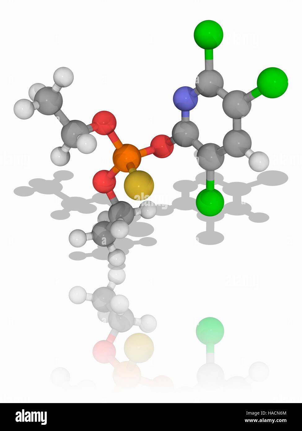 Chlorpyrifos. Il modello molecolare dell'insetticida organofosfato chlorpyrifos (C9.H11.Cl3.N.O3.P.S), largamente utilizzati in agricoltura. Uccide gli insetti agendo sull'insetto del sistema nervoso. Gli atomi sono rappresentati da sfere e sono codificati a colori: carbonio (grigio), Idrogeno (bianco), Azoto (blu), Ossigeno (rosso), zolfo (giallo), Fosforo (arancione) e cloro (verde). Illustrazione. Foto Stock