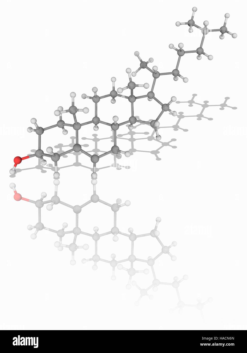 Colesterolo. Il modello molecolare di sterolo conosciuto come colesterolo (C27.H46.o.). Gli steroli sono un tipo di lipidi, una classe di composti biochimici che include i grassi. Il colesterolo è un componente essenziale delle membrane cellulari di mammiferi e i livelli di colesterolo nel sangue è un importante indicatore di salute. Gli atomi sono rappresentati da sfere e sono codificati a colori: carbonio (grigio), Idrogeno (bianco) e ossigeno (rosso). Illustrazione. Foto Stock