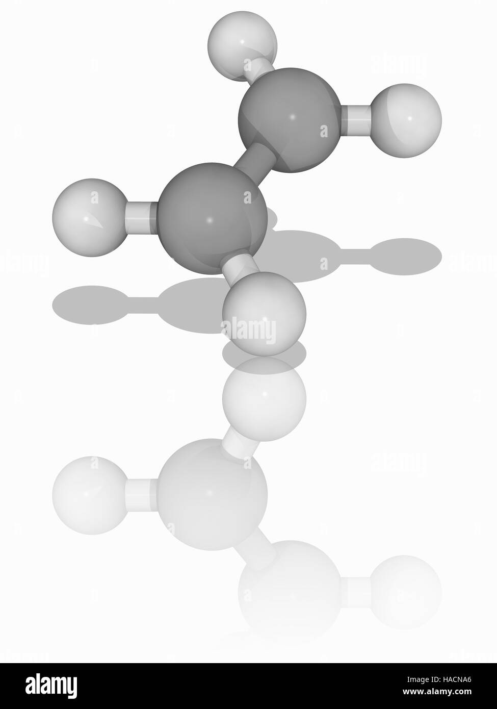 Etilene. Il modello molecolare di alchene etilene (C2.H4), noto anche come etene. Questo gassoso composto organico è il più semplice alchene ed un idrocarburo insaturo con un doppio legame tra i due atomi di carbonio. La sua produzione in tutto il mondo supera quello di qualsiasi altra sostanza chimica, con diffusa utilizza nell'industria chimica. Gli atomi sono rappresentati da sfere e sono codificati a colori: carbonio (grigio) e idrogeno (bianco). Illustrazione. Foto Stock
