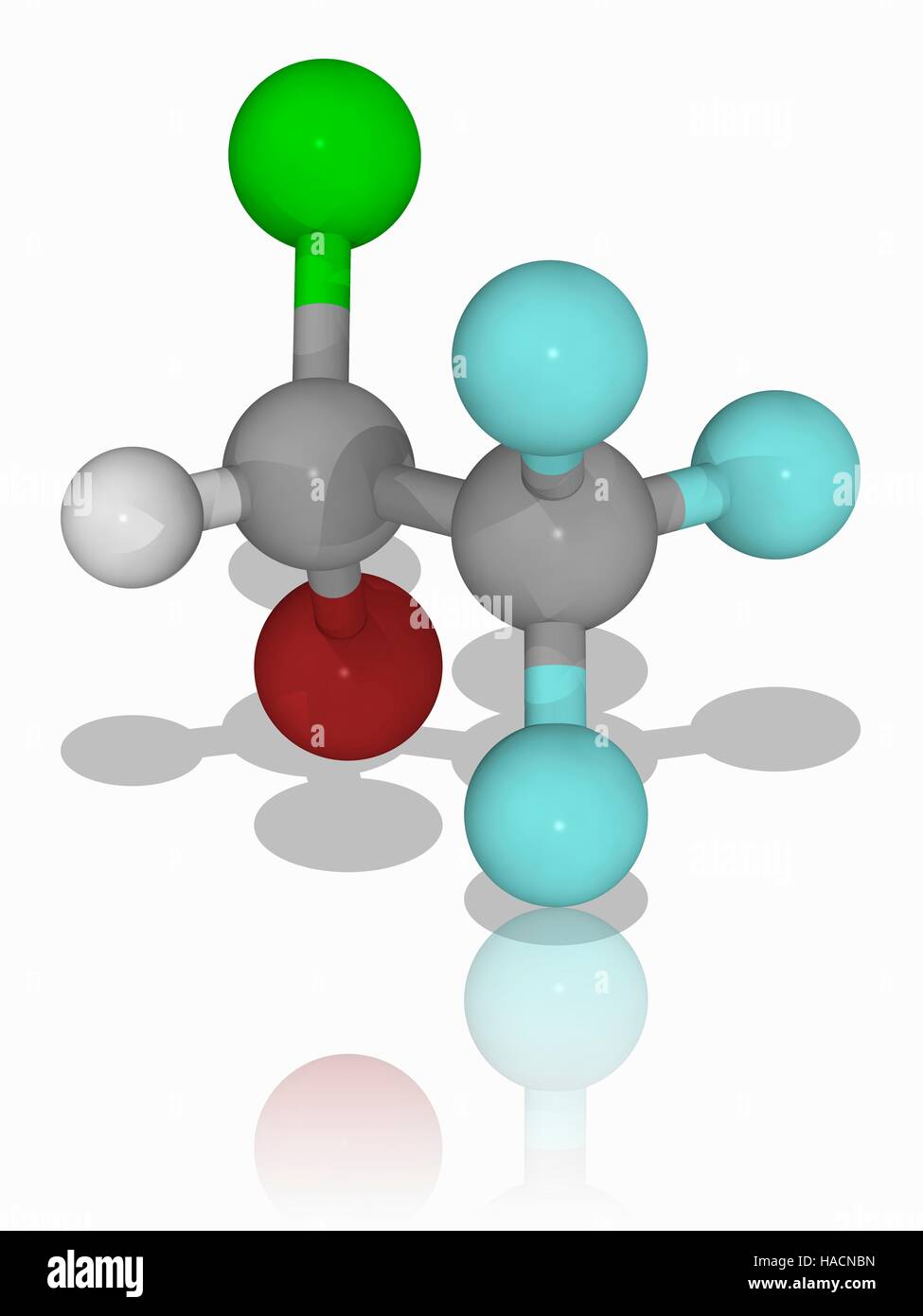 Alotano. Il modello molecolare del farmaco anestetico alotano (C2.H.Br.Cl.F3). Questo anestetico generale viene erogato mediante inalazione. È anche knowns come Fluothane. Gli atomi sono rappresentati da sfere e sono codificati a colori: carbonio (grigio), Idrogeno (bianco), il fluoro (ciano), bromo (marrone) e cloro (verde). Illustrazione. Foto Stock