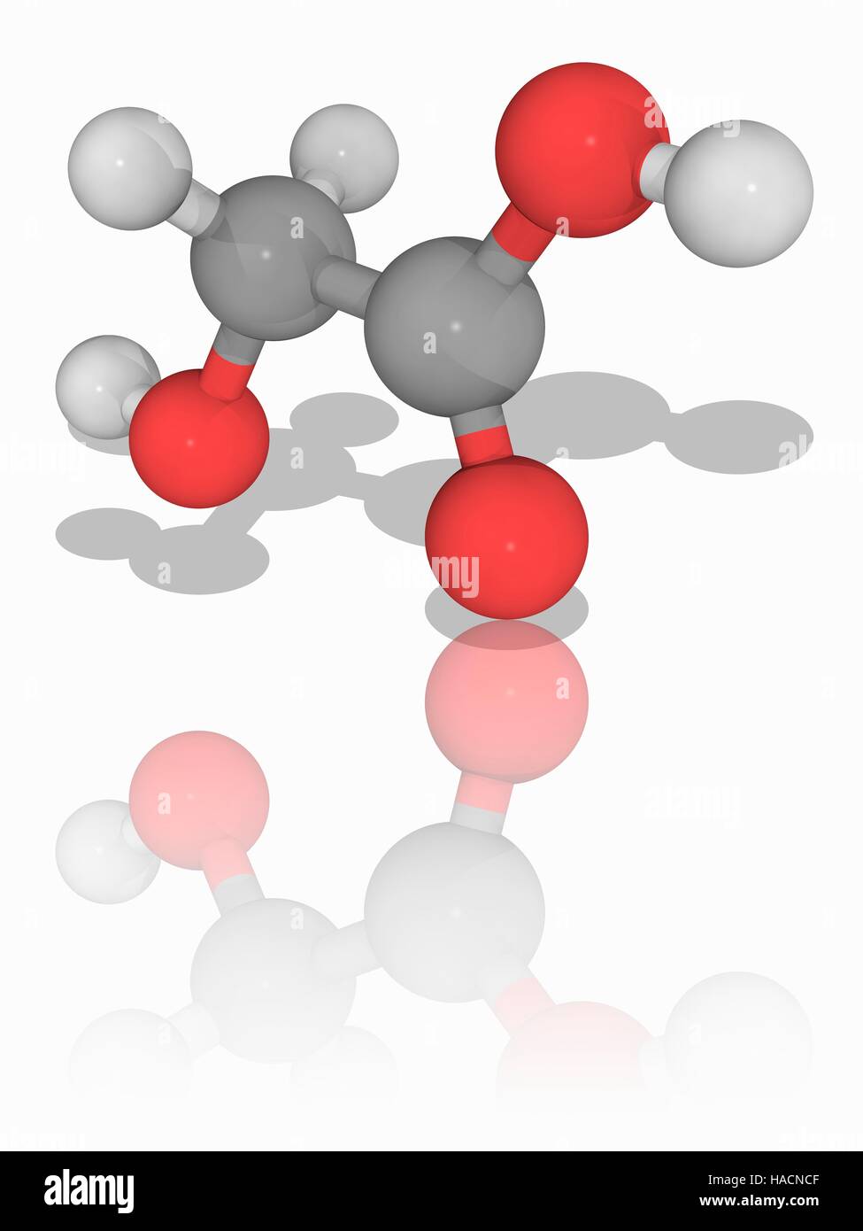 Acido idrossiacetico. Il modello molecolare di acido idrossiacetico (C2.H4.O3), il più piccolo di alfa-idrossi acido (AHA), noto anche come acido glicolico. Questo solido cristallino composto chimico è utilizzato in prodotti per la cura della pelle. Gli atomi sono rappresentati da sfere e sono codificati a colori: carbonio (grigio), Idrogeno (bianco) e ossigeno (rosso). Illustrazione. Foto Stock