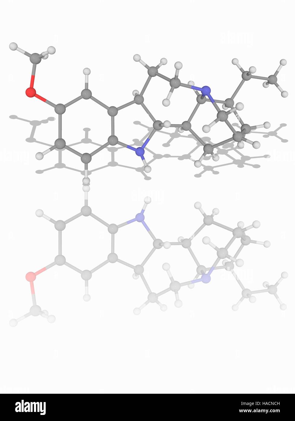 Ibogaina. Il modello molecolare del farmaco ibogaina (C20.H26.N2.O). Questa è una naturale sostanza psicoattiva trovata in un certo numero di piante. Gli atomi sono rappresentati da sfere e sono codificati a colori: carbonio (grigio), Idrogeno (bianco), Azoto (blu) e ossigeno (rosso). Illustrazione. Foto Stock