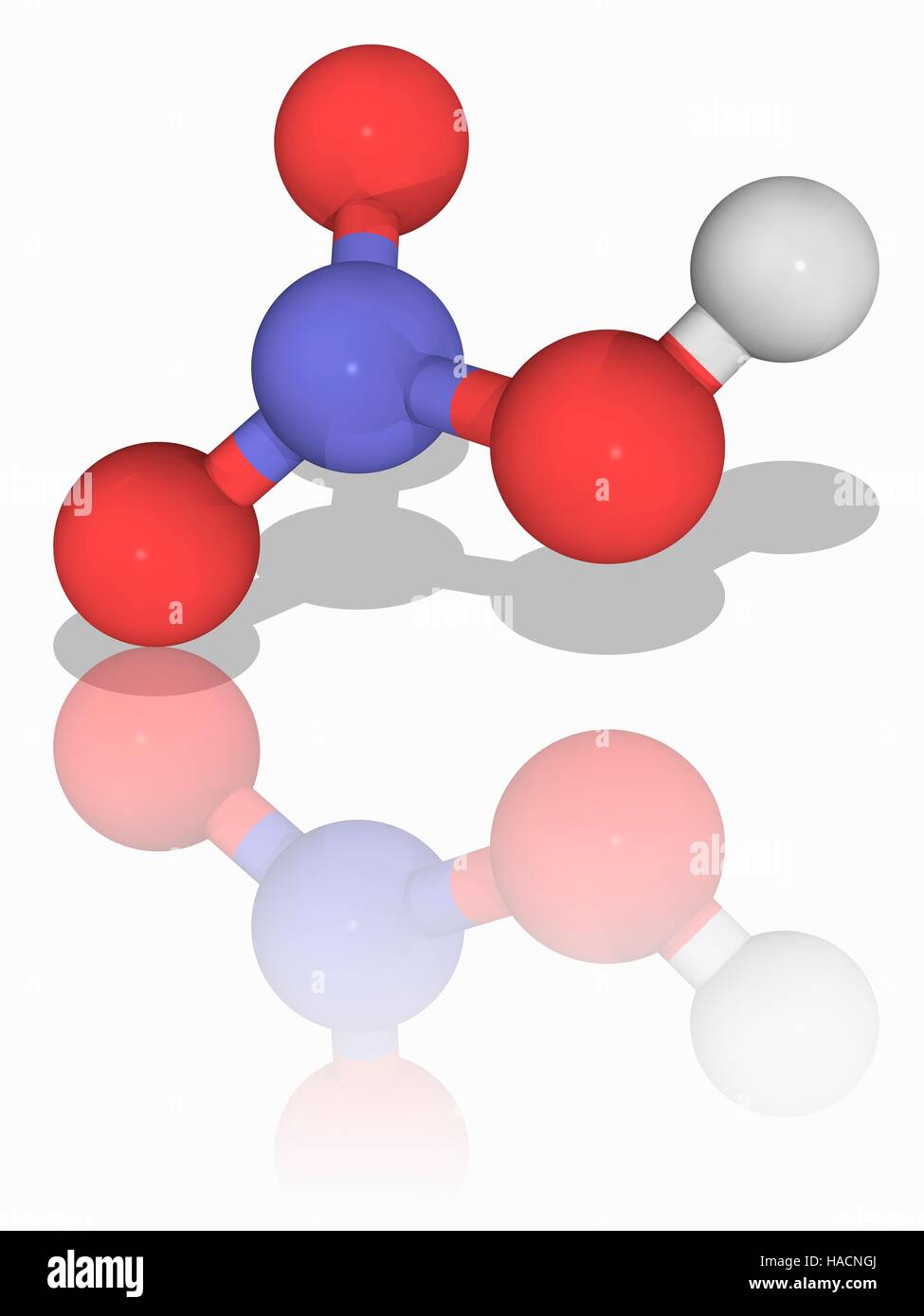 Acido nitrico. Il modello molecolare di acido nitrico (H.N.O3), un altamente corrosivi e tossici acido minerale forte che viene utilizzato principalmente per la produzione di fertilizzanti. È anche un forte agente ossidante. Gli atomi sono rappresentati da sfere e sono codificati a colori: idrogeno (bianco), Azoto (blu) e ossigeno (rosso). Illustrazione. Foto Stock Acido nitrico. Il modello molecolare di acido nitrico (H.N.O3), un altamente corrosivi e tossici acido minerale forte che viene utilizzato principalmente per la produzione di fertilizzanti. È anche un forte agente ossidante. Gli atomi sono rappresentati da sfere e sono codificati a colori: idrogeno (bianco), Azoto (blu) e ossigeno (rosso). Illustrazione. Foto Stock