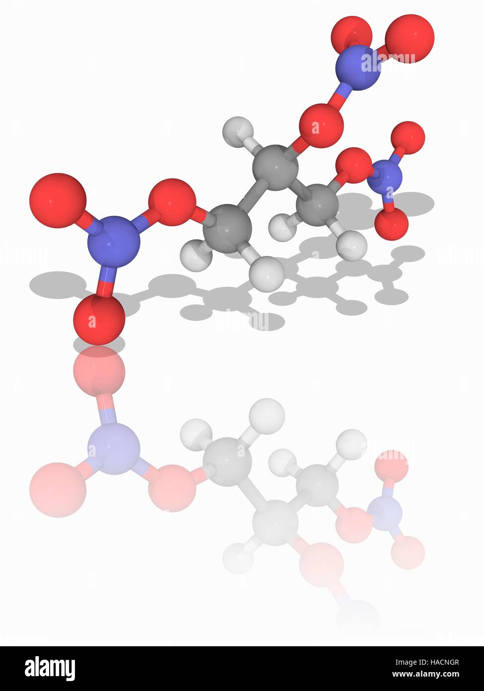 La nitroglicerina. Il modello molecolare della sostanza chimica nitroglicerina (C3.H5.N3.O9). Questo incolore, oleose, esplosivo liquido viene utilizzato anche dal punto di vista medico come un vasodilatatore per trattare condizioni di cuore. Gli atomi sono rappresentati da sfere e sono codificati a colori: carbonio (grigio), Idrogeno (bianco), Azoto (blu) e ossigeno (rosso). Illustrazione. Foto Stock