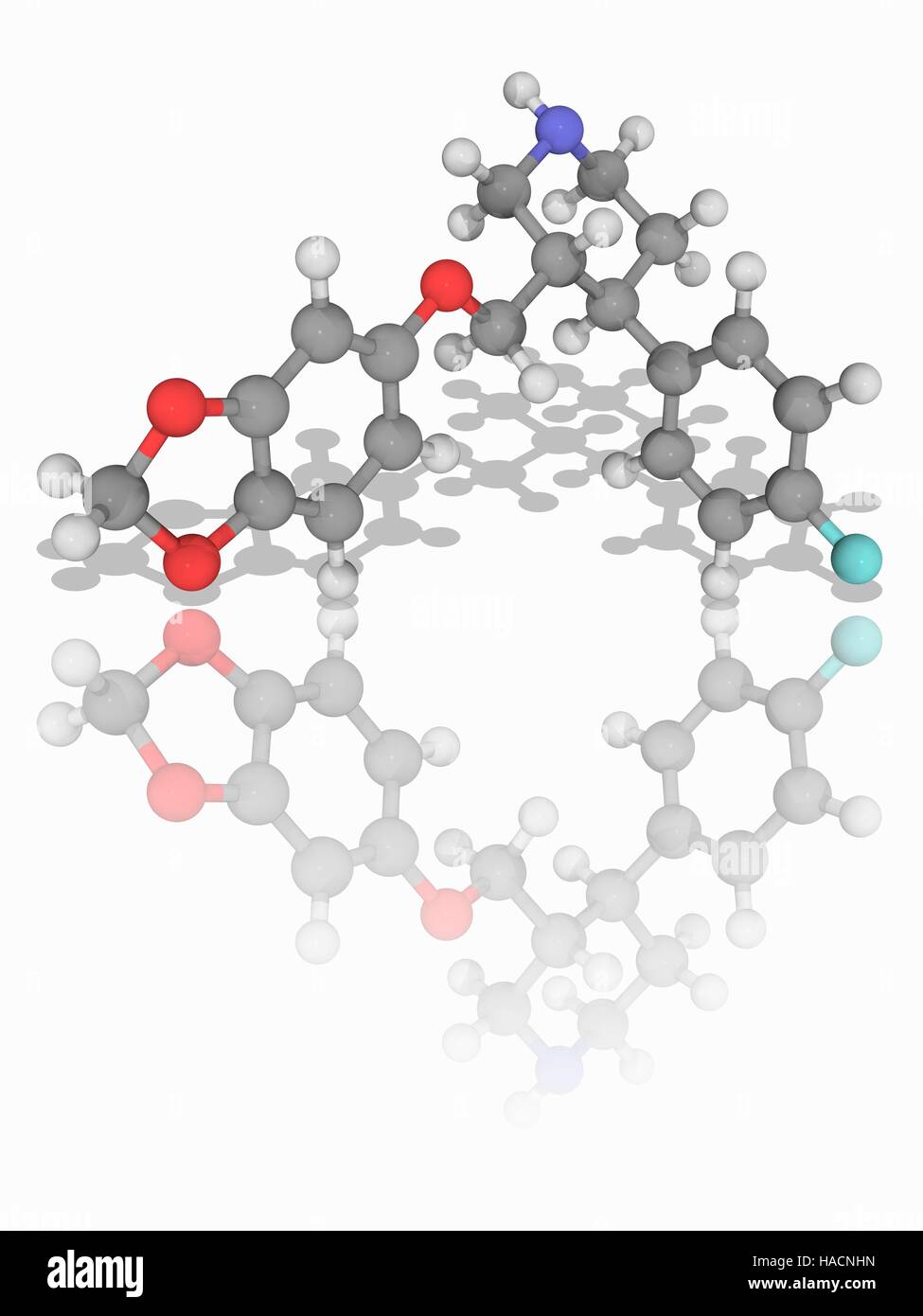 La paroxetina. Il modello molecolare del farmaco paroxetina ( C19.H20.F.N.O3), un inibitore selettivo della ricaptazione della serotonina utilizzato per trattare la depressione maggiore, disturbo ossessivo-compulsivo, disturbo di panico, l'ansia sociale, posttraumatic stress disorder, e disturbi da ansia generalizzati. Gli atomi sono rappresentati da sfere e sono codificati a colori: carbonio (grigio), Idrogeno (bianco), Azoto (blu), Ossigeno (rosso) e fluoro (ciano). Illustrazione. Foto Stock