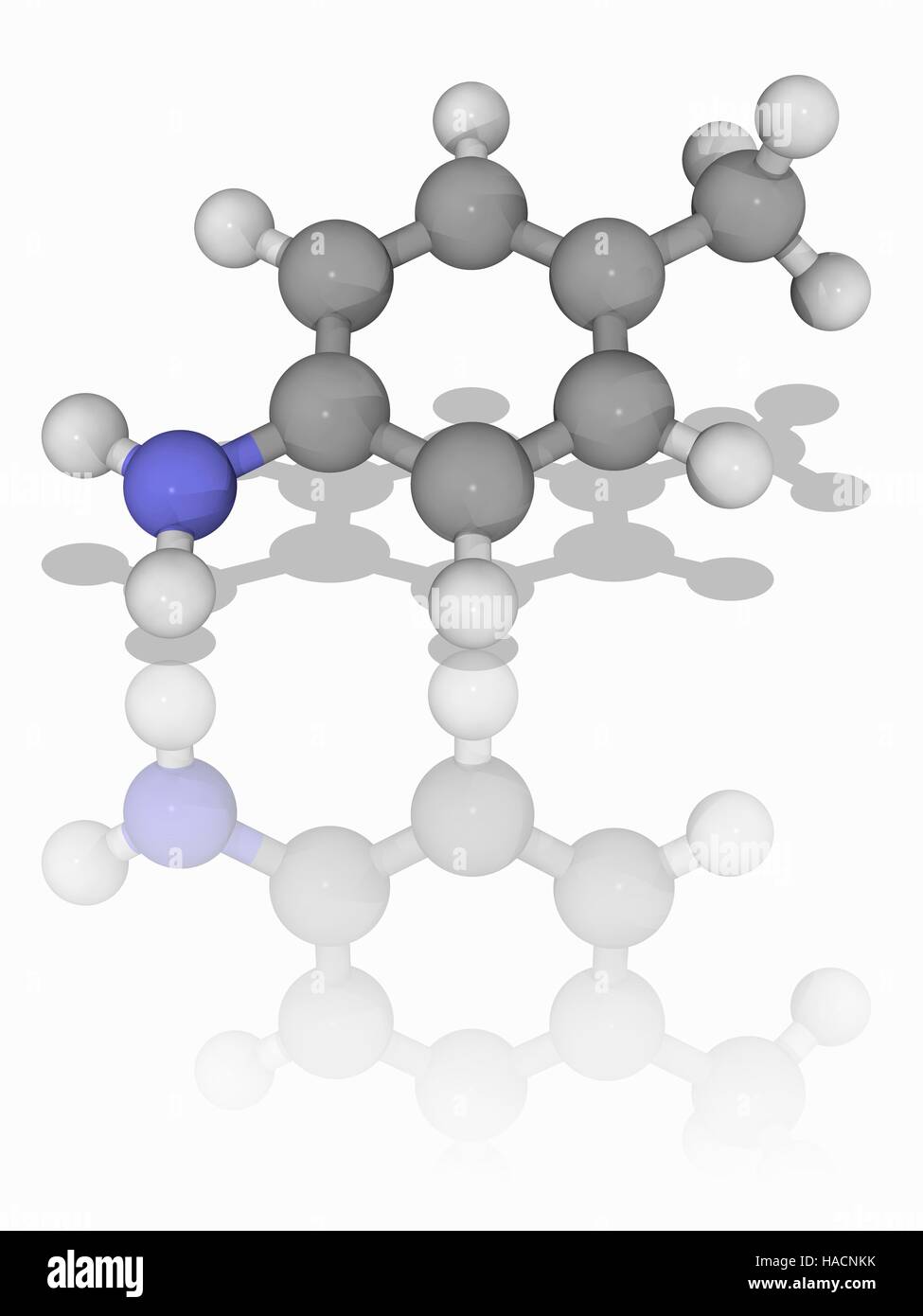 Para-Toluidine. Il modello molecolare del composto organico para-toluidina (C7.H9.N), una sostanza chimica che ha proprietà simili a quelle di anilina. Il termine "para' si riferisce alla posizione del metile (CH3) gruppo sull'anello fenilico di fronte al gruppo amminico (NH2). Gli atomi sono rappresentati da sfere e sono codificati a colori: carbonio (grigio), Idrogeno (bianco) e azoto (blu). Illustrazione. Foto Stock