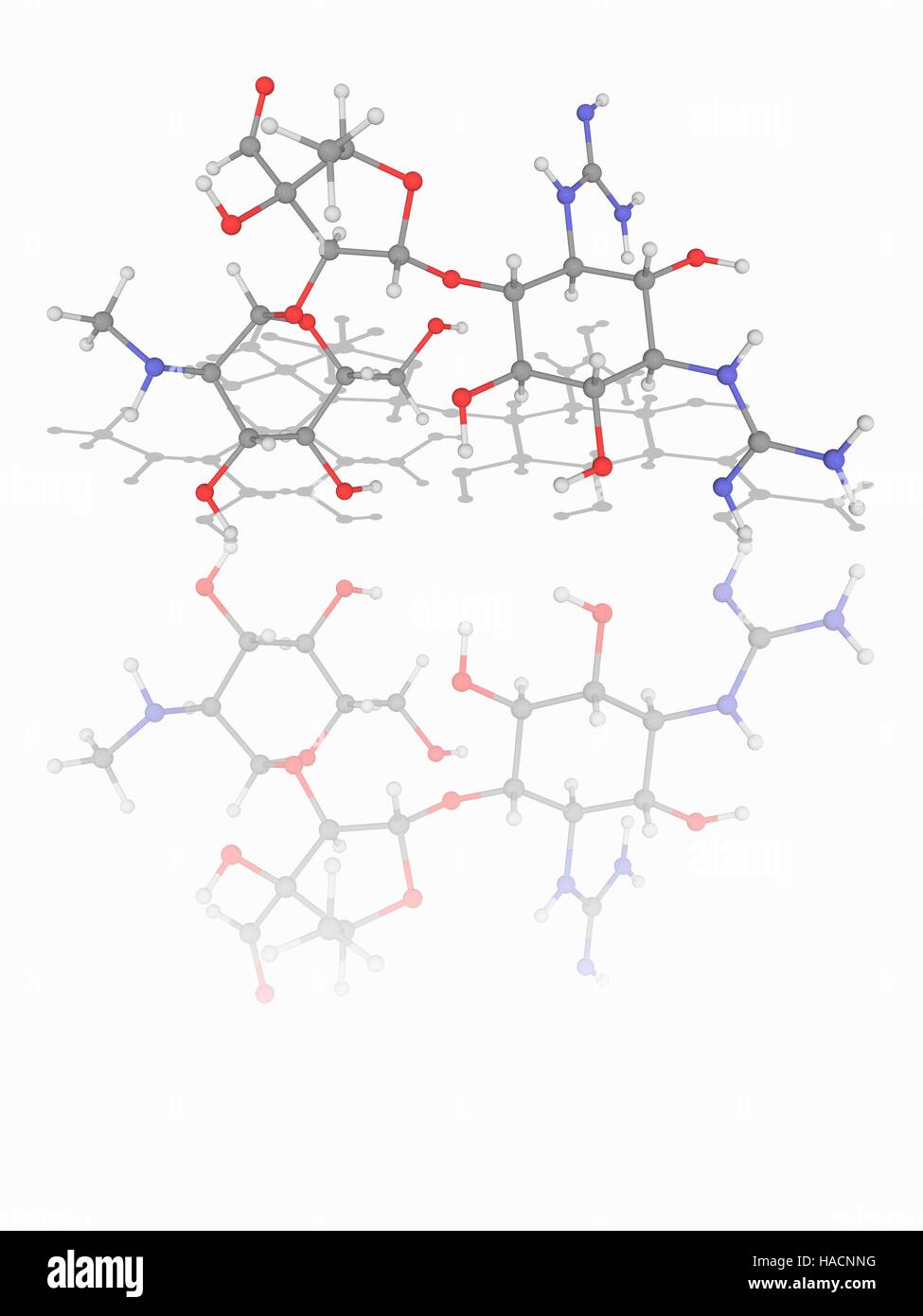 La streptomicina. Il modello molecolare del farmaco antibiotico streptomicina (C21.H39.N7.O12), una proteina inibitore di sintesi che è usato per il trattamento della tubercolosi. Gli atomi sono rappresentati da sfere e sono codificati a colori: carbonio (grigio), Idrogeno (bianco), Azoto (blu) e ossigeno (rosso). Illustrazione. Foto Stock