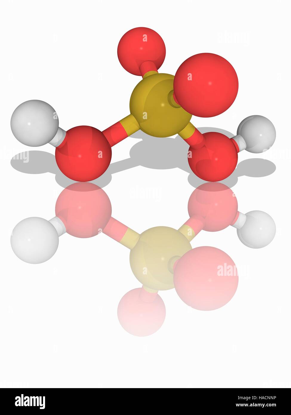 Acido solforico. Il modello molecolare del altamente corrosivo acido minerale forte acido solforico (H2SO4). Questo acido è uno dei principali prodotti chimici utilizzati nell'industria chimica, con circa 180 milioni di tonnellate utilizzate annualmente. Gli atomi sono rappresentati da sfere e sono codificati a colori: zolfo (giallo), Idrogeno (bianco) e ossigeno (rosso). Illustrazione. Foto Stock Acido solforico. Il modello molecolare del altamente corrosivo acido minerale forte acido solforico (H2SO4). Questo acido è uno dei principali prodotti chimici utilizzati nell'industria chimica, con circa 180 milioni di tonnellate utilizzate annualmente. Gli atomi sono rappresentati da sfere e sono codificati a colori: zolfo (giallo), Idrogeno (bianco) e ossigeno (rosso). Illustrazione. Foto Stock
