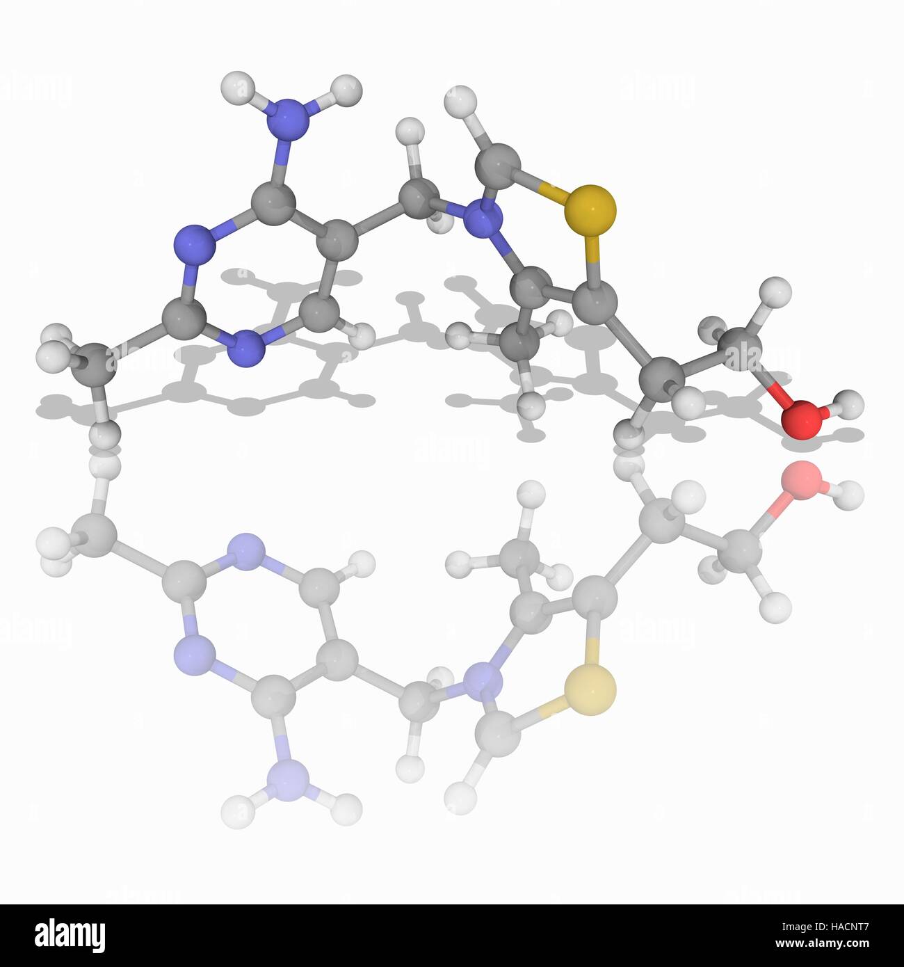 La vitamina B1. Il modello molecolare della tiamina (C12.H17.N4.O.S), chiamato anche tiamina e vitamina B1. Una carenza di questa vitamina porta ad una malattia chiamata beriberi. Gli atomi sono rappresentati da sfere e sono codificati a colori: carbonio (grigio), Idrogeno (bianco), Azoto (blu), Ossigeno (rosso) e zolfo (giallo). Illustrazione. Foto Stock