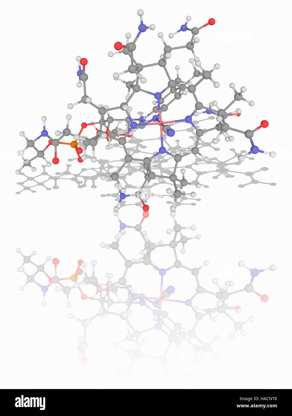 Vitamina B12. Il modello molecolare della cianocobalamina (C63.H88.co.n14.O14.P) forma di vitamina B12. Questa vitamina svolge un ruolo chiave per il normale funzionamento del cervello e del sistema nervoso. Gli atomi sono rappresentati da sfere e sono codificati a colori: cobalto (rosa), carbonio (grigio), Idrogeno (bianco), Azoto (blu), Ossigeno (rosso) e il fosforo (arancione). Illustrazione. Foto Stock