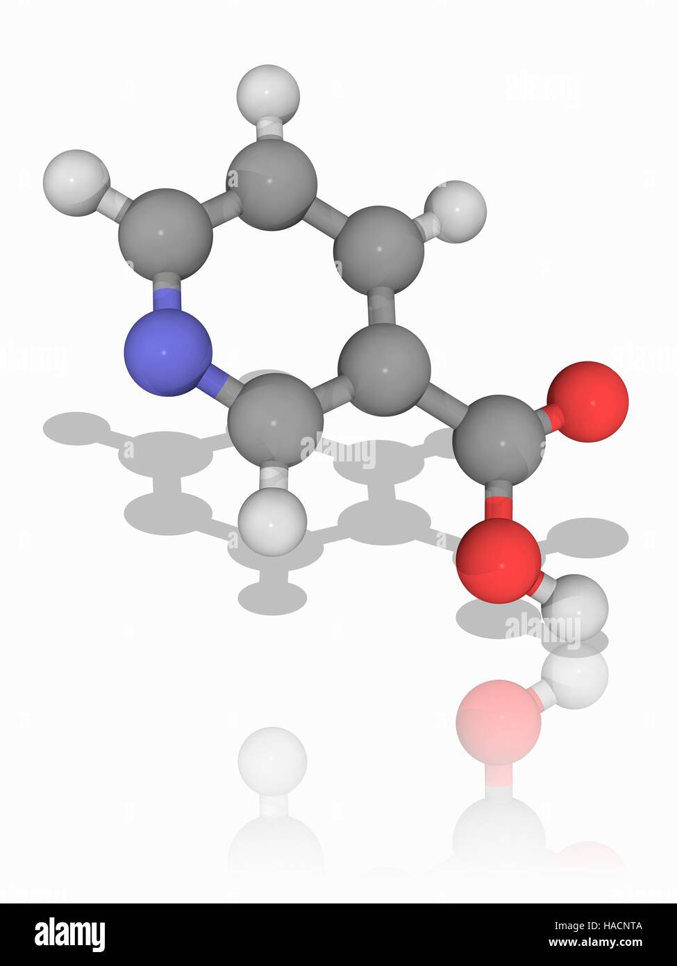 Niacina. Il modello molecolare di niacina (C6.N.H5.O2), noto anche come vitamina B3 e acido nicotinico. Insufficiente apporto di questa vitamina porta ad una malattia chiamata pellagra. Gli atomi sono rappresentati da sfere e sono codificati a colori: carbonio (grigio), Idrogeno (bianco), Azoto (blu) e ossigeno (rosso). Illustrazione. Foto Stock