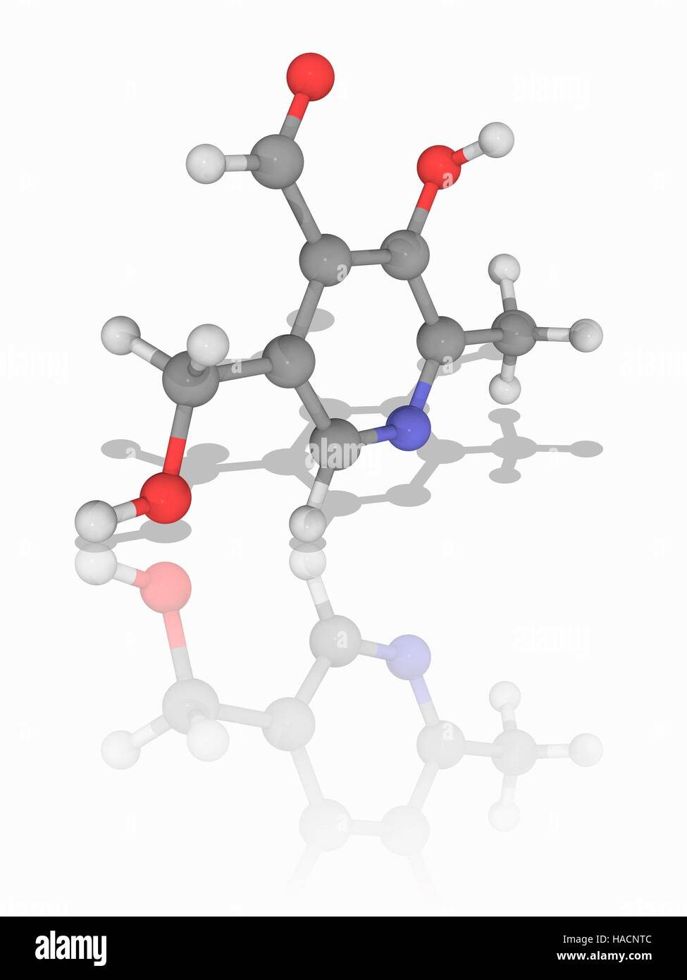 Il piridossale. Il modello molecolare del piridossal (C8.H9.N.O3) forma di vitamina B6. Questa vitamina è richiesto come un cofattore in molte reazioni di ammino acidi, lipidi e glucosio. Gli atomi sono rappresentati da sfere e sono codificati a colori: carbonio (grigio), Idrogeno (bianco), Azoto (blu) e ossigeno (rosso). Illustrazione. Foto Stock