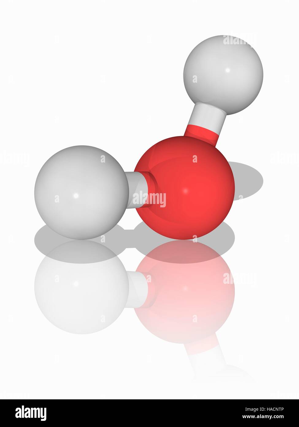 Acqua (H2.O), modello molecolare. Questo liquido è vitale per la vita. Acqua copre il 70 percento della superficie della terra. Gli atomi sono rappresentati da sfere e sono codificati a colori: idrogeno (bianco) e ossigeno (rosso). Illustrazione. Foto Stock