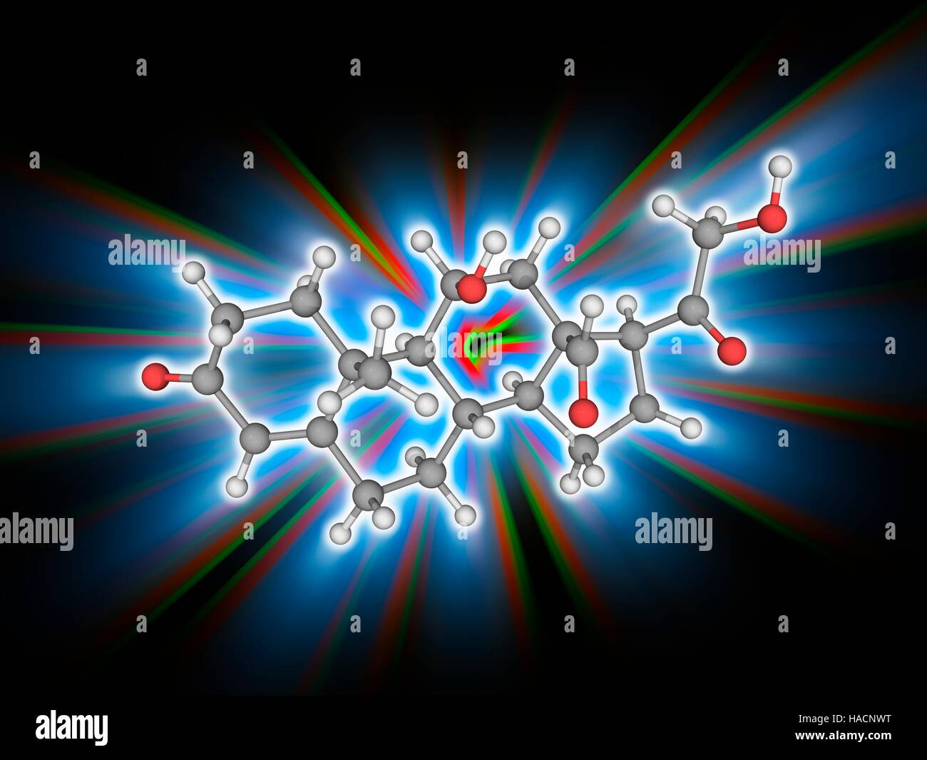 L'aldosterone. Il modello molecolare di ormone steroideo aldosterone (C21.H28.O5). L'aldosterone viene rilasciato dalle ghiandole surrenali e aiuta a mantenere il corpo della acqua e l'equilibrio elettrolitico. Esso fa ciò aumentando o diminuendo l'assorbimento di sodio e potassio nei tessuti. Un eccesso di aldosterone livelli nel sangue può portare ad alta pressione sanguigna e debolezza muscolare. Gli atomi sono rappresentati da sfere e sono codificati a colori: carbonio (grigio), Idrogeno (bianco) e ossigeno (rosso). Illustrazione. Foto Stock