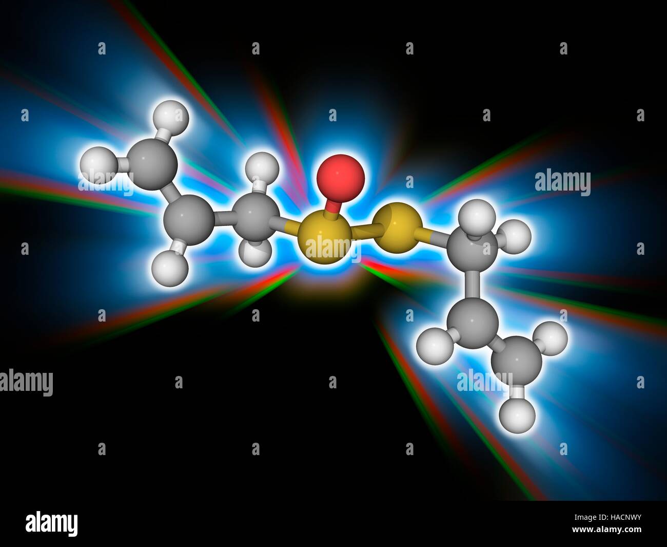 Allicin. Il modello molecolare del composto organosulfur allicin (C6.H10.O.S2). Ottenuto da l'aglio (allium sativum), questo prodotto chimico è antibatterico e antimicotico proprietà. Gli atomi sono rappresentati da sfere e sono codificati a colori: carbonio (grigio), Idrogeno (bianco), Ossigeno (rosso) e zolfo (giallo). Illustrazione. Foto Stock