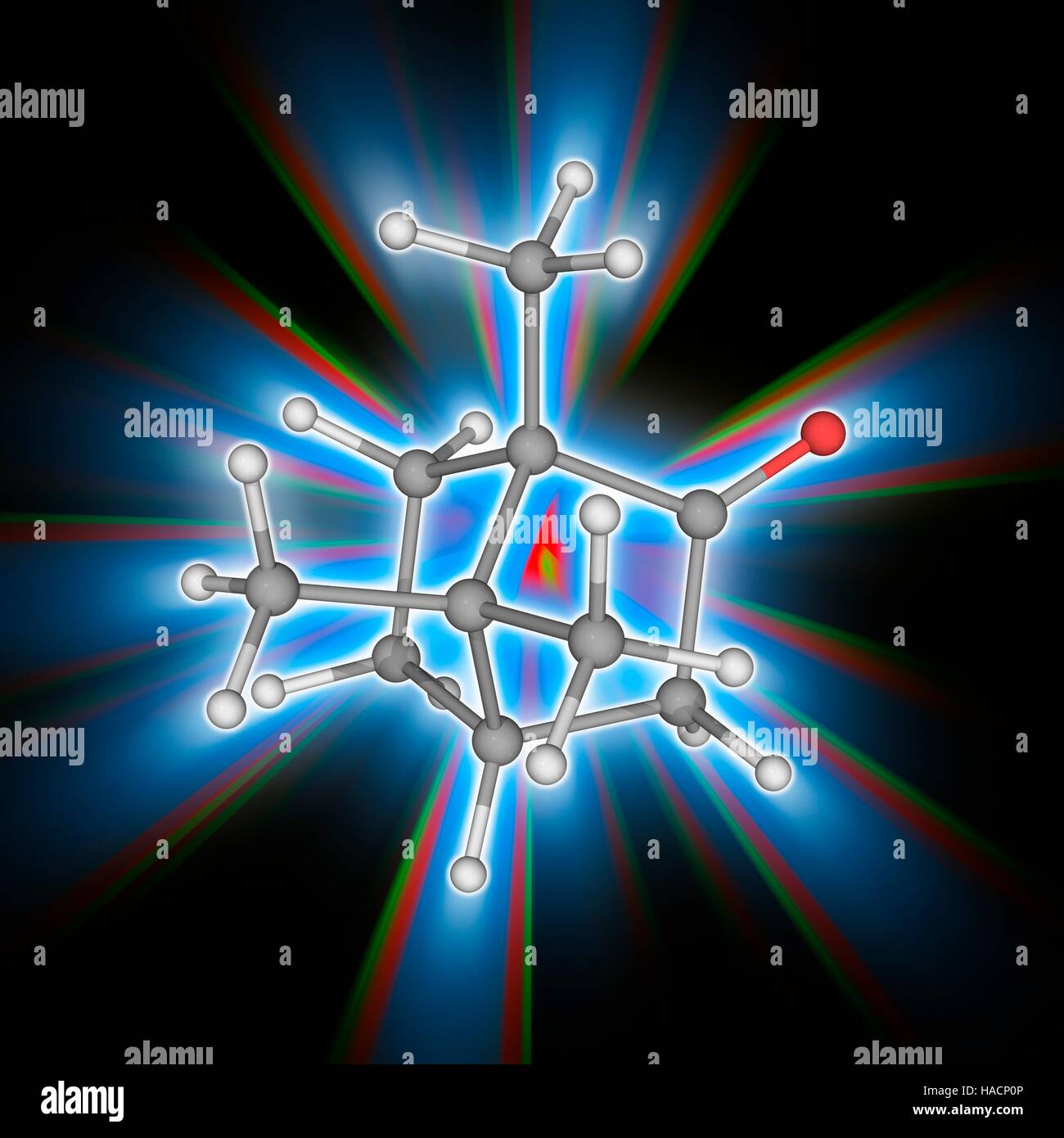 Canfora. Il modello molecolare del composto chimico organico canfora (C10.H16.o.). Classificato come un terpenoidi, si tratta di un solido ceroso di colore bianco o trasparente solido che ha un forte odore aromatico. È usato come un ingrediente di cottura, imbalsamazione fluido, per scopi medici e nelle cerimonie religiose. Gli atomi sono rappresentati da sfere e sono codificati a colori: carbonio (grigio), Idrogeno (bianco) e ossigeno (rosso). Illustrazione. Foto Stock