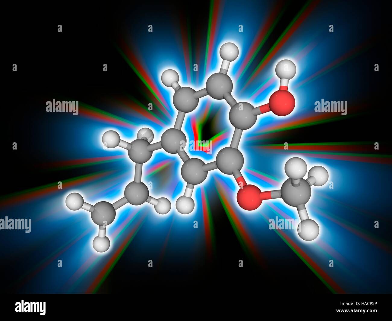 Eugenolo. Il modello molecolare della sostanza chimica phenylpropene eugenolo (C10.H12.O2). Si tratta di un colore giallo pallido liquido oleoso estratto da alcuni oli essenziali, soprattutto da olio di chiodi di garofano, noce moscata, la cannella, basilico e foglie di alloro. Esso è utilizzato in profumi e come aromatizzante. Gli atomi sono rappresentati da sfere e sono codificati a colori: carbonio (grigio), Idrogeno (bianco) e ossigeno (rosso). Illustrazione. Foto Stock
