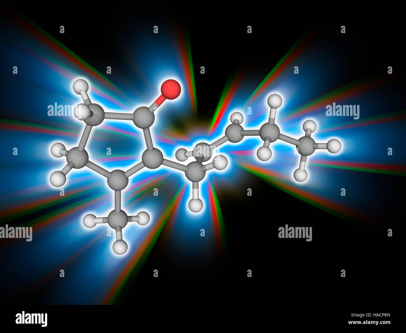 Jasmone. Il modello molecolare del chetone e cicloalchene jasmone (C11.H16.o.). Questo naturale composto organico viene estratto dall'olio da jasmine (Jasminum) fiori. Utilizzato principalmente in profumi e cosmetici. Gli atomi sono rappresentati da sfere e sono codificati a colori: carbonio (grigio), Idrogeno (bianco) e ossigeno (rosso). Illustrazione. Foto Stock