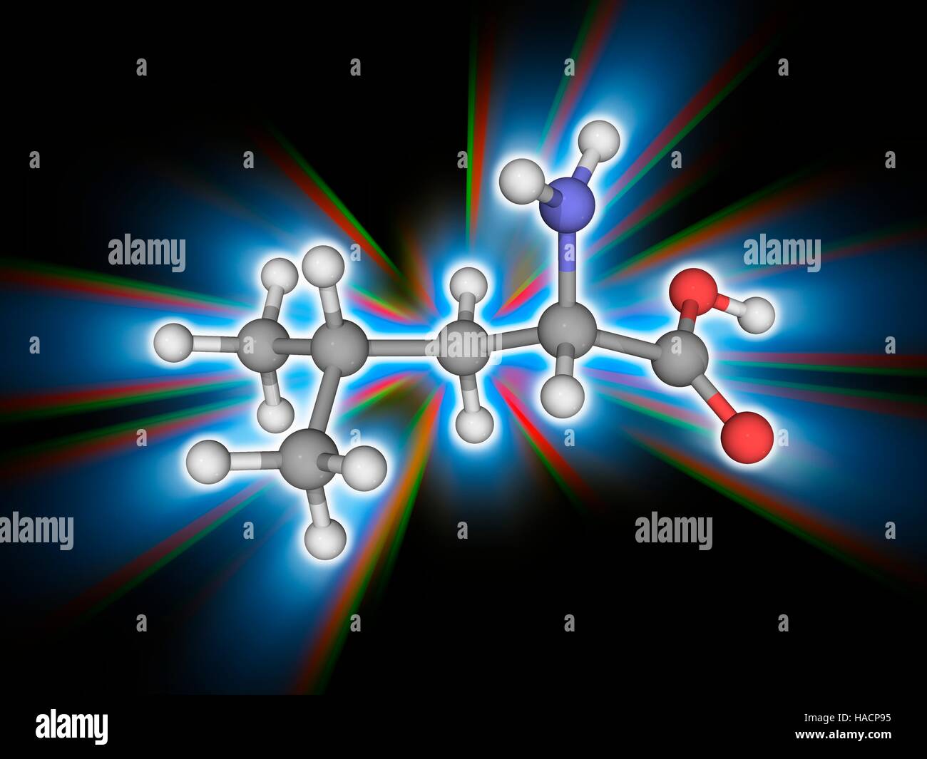 La leucina. Il modello molecolare del amminoacido essenziale leucina (C6.H13.N.O2). Classificato come un alfa-amminoacido leucina è trovato nelle uova, proteina di soia, alghe, Turchia, pollo, agnello, formaggio e pesce. Gli atomi sono rappresentati da sfere e sono codificati a colori: carbonio (grigio), Idrogeno (bianco), Azoto (blu) e ossigeno (rosso). Illustrazione. Foto Stock