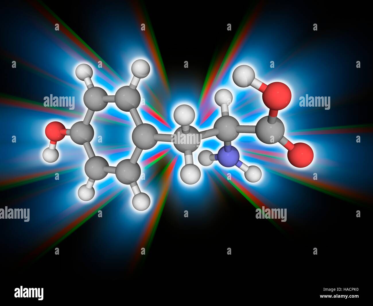 Tirosina. Il modello molecolare di amminoacido non essenziale di tirosina (C9.H11.N.O3), uno dei venti amminoacidi utilizzati per sintetizzare le proteine (proteinogenic). Gli atomi sono rappresentati da sfere e sono codificati a colori: carbonio (grigio), Idrogeno (bianco), Azoto (blu) e ossigeno (rosso). Illustrazione. Foto Stock