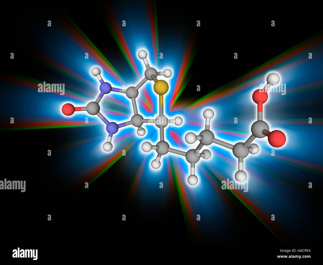 La vitamina B7. Il modello molecolare di biotina (C10.H16.N2.O3.S), noto anche come vitamina B7, vitamina H e coenzima R. Questa vitamina è necessaria per la crescita cellulare e la produzione di acidi grassi e il metabolismo dei grassi e degli aminoacidi. Gli atomi sono rappresentati da sfere e sono codificati a colori: carbonio (grigio), Idrogeno (bianco), Azoto (blu), Ossigeno (rosso) e zolfo (giallo). Illustrazione. Foto Stock