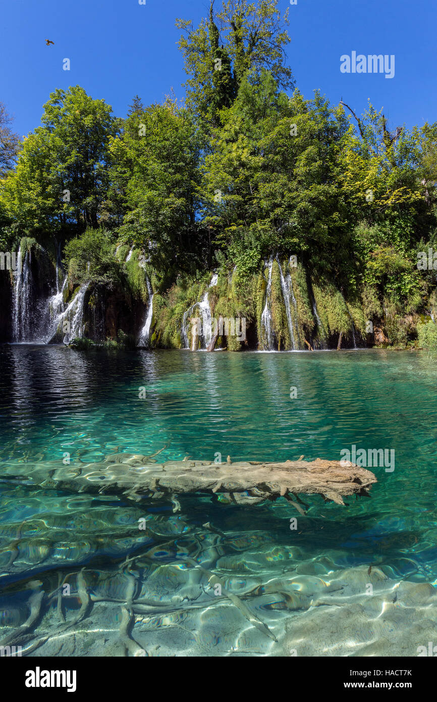 Il Parco Nazionale dei Laghi di Plitvice in Croazia Foto Stock