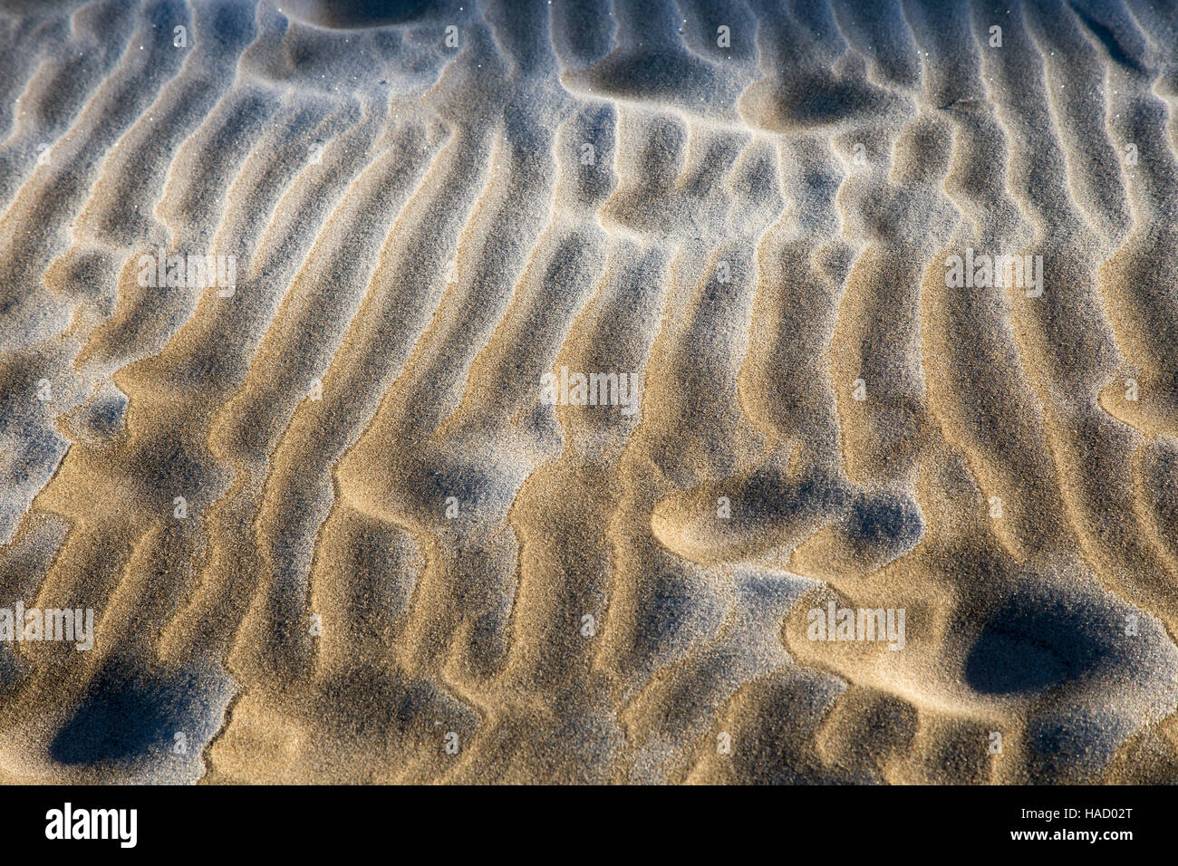 Sany riva del mare in scena con la brina sulla sabbia Foto Stock