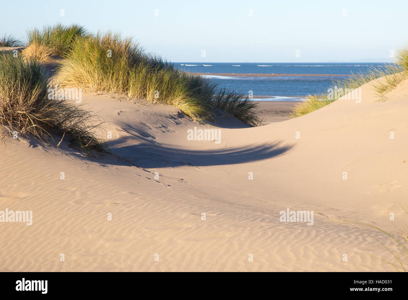 Sany riva del mare in scena con la brina sulla sabbia Foto Stock