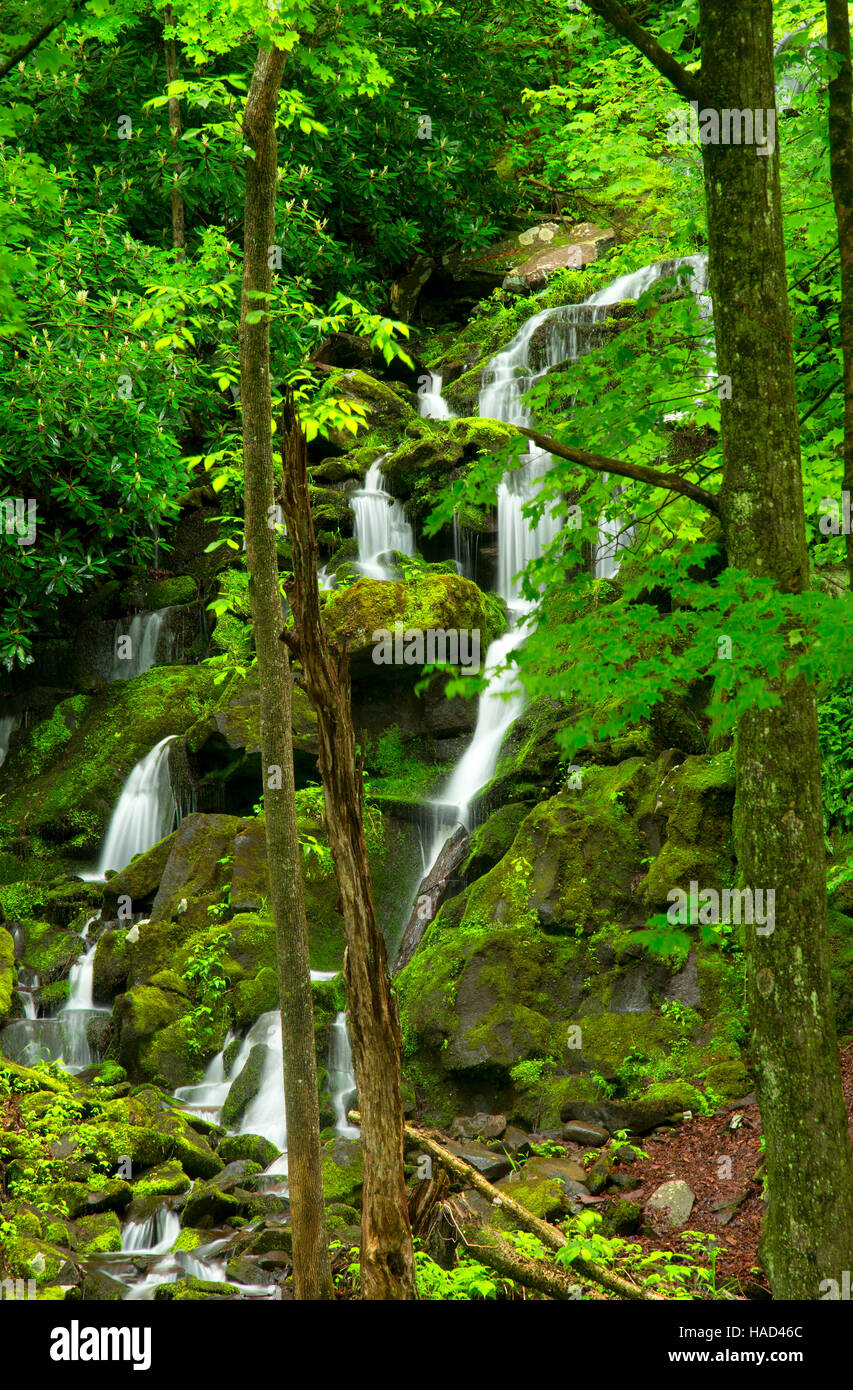 Cascata lungo la Lehigh Gorge Trail, Lehigh Gorge State Park, Pennsylvania Foto Stock