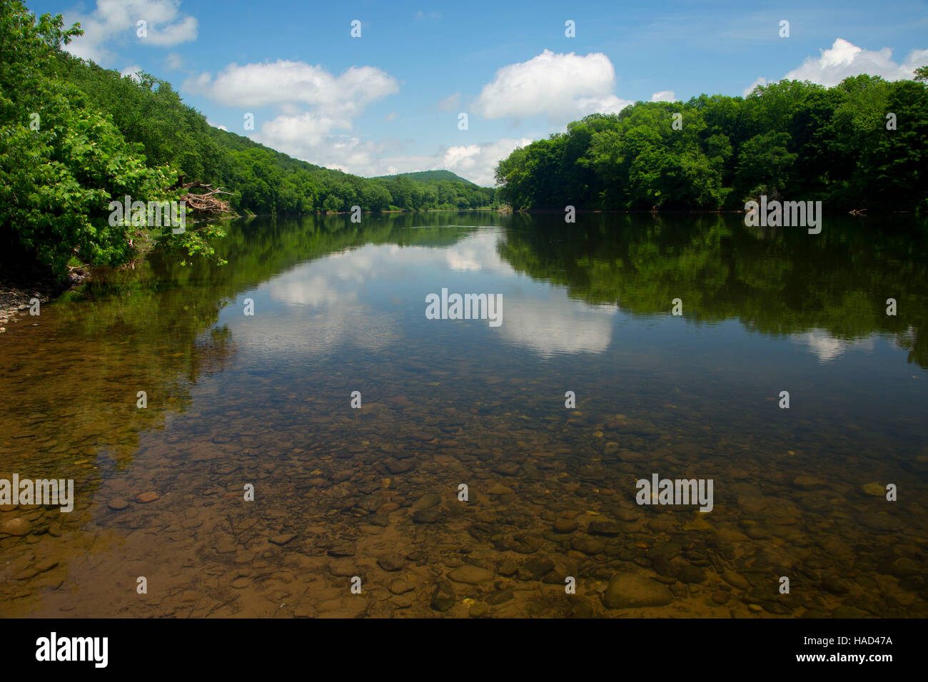 Fiume Delaware, Delaware Water Gap National Recreation Area, Pennsylvania Foto Stock