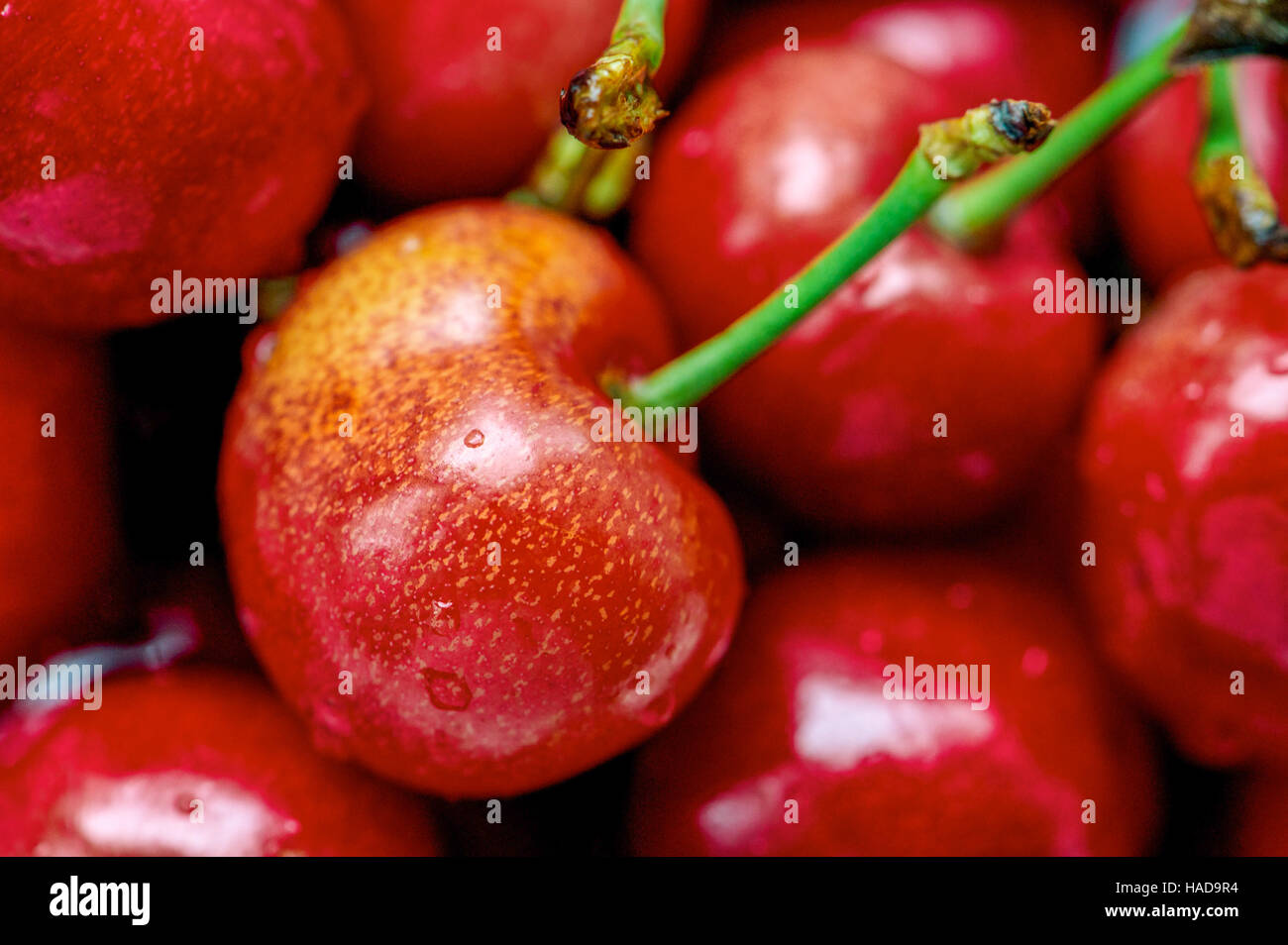 Fresche ciliege rosse texture di sfondo. La ciliegia frutta, Close up Foto Stock