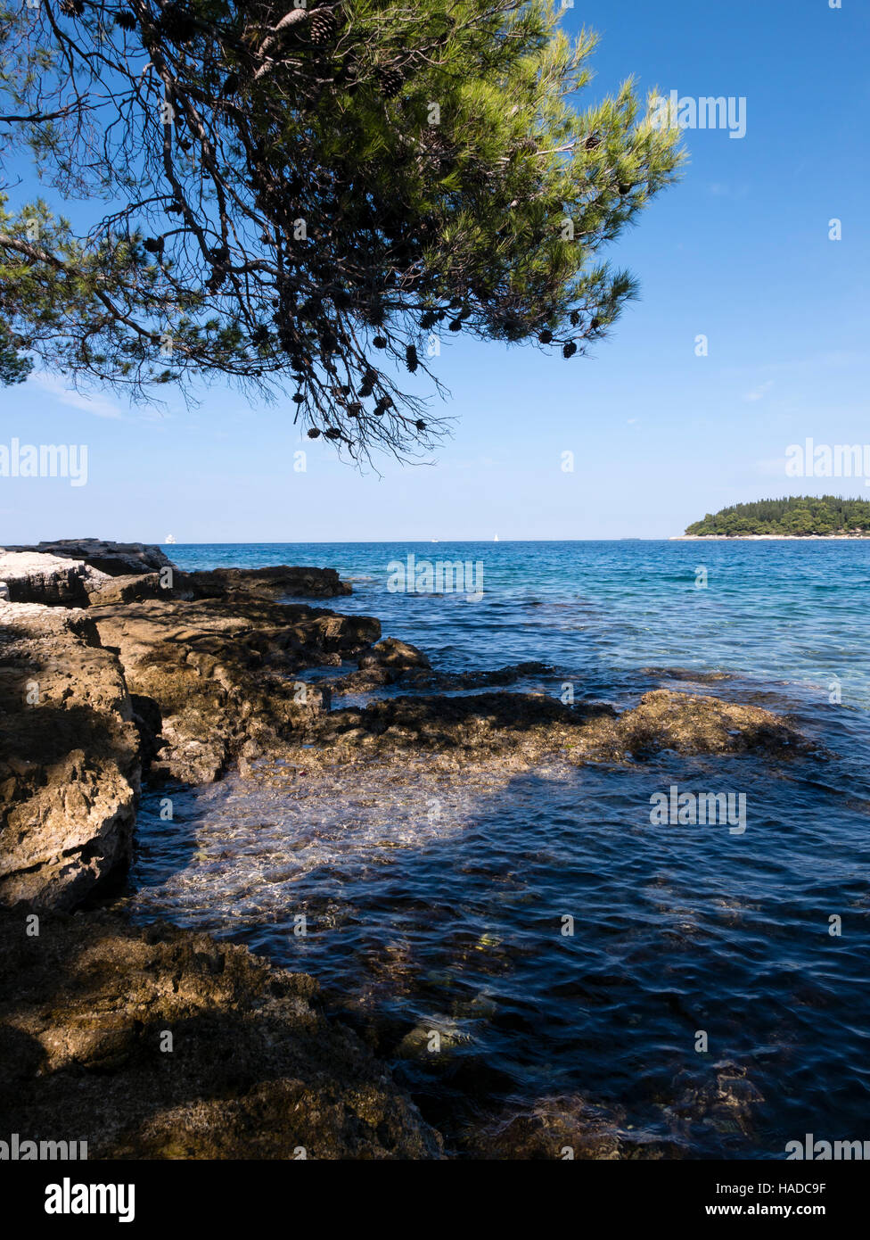 Punta Corrente Forest Park Rovigno Istria Repubblica Di