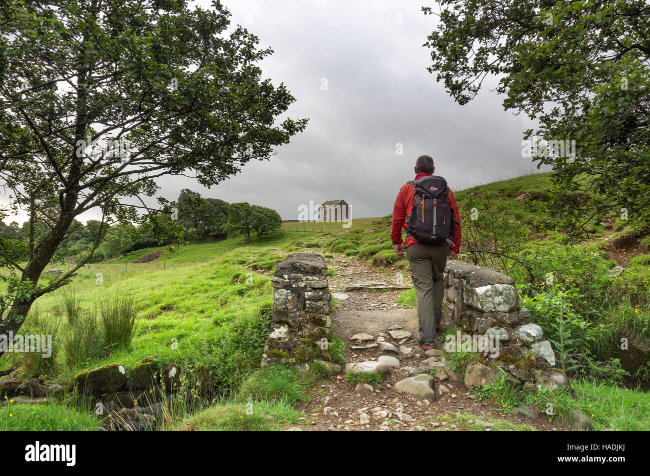 Walker sul percorso tra la bassa forza e Holwick, Teesdale, County Durham Regno Unito Foto Stock