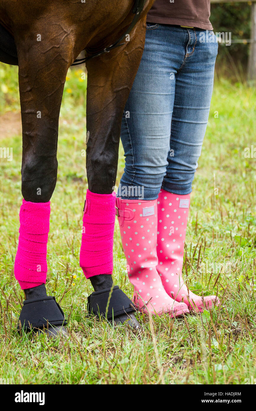 Cavalli domestici. Gambe anteriori con bende rosa e gambe umane in rosa Stivali in gomma con la polka dots accanto a ogni altro sull'erba. Germania Foto Stock