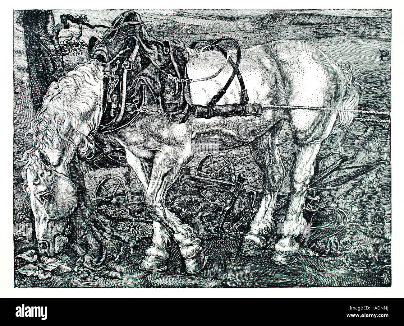 Il Cavallo Bianco, illustrazione della linea di incisione su rame da P Dupont dal 1913 Studio Magazine Foto Stock