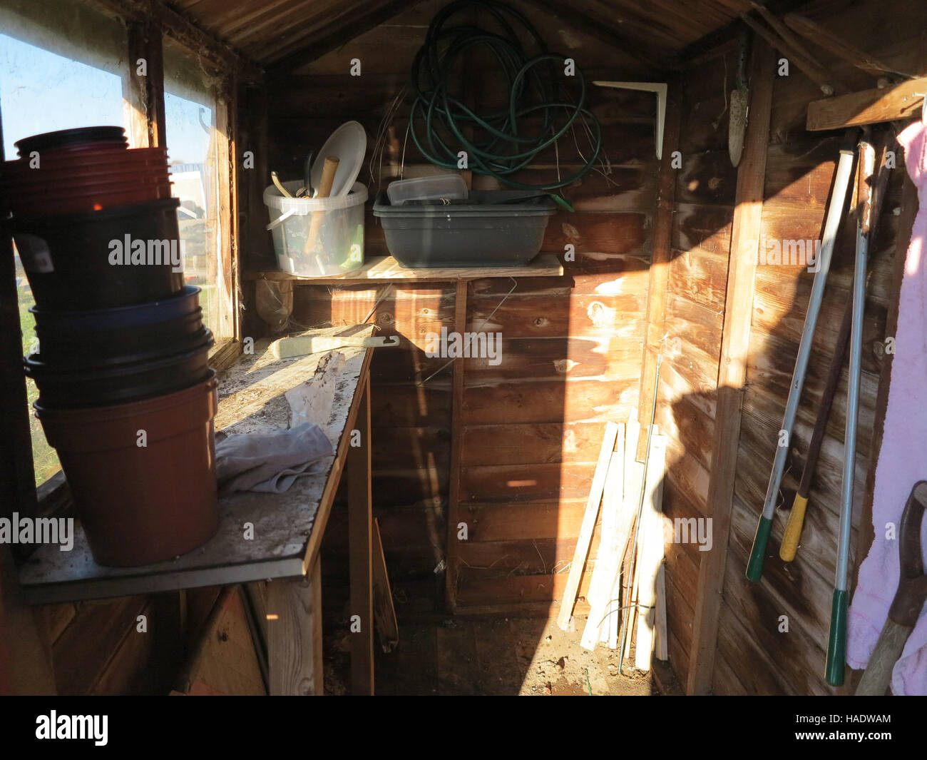 Interno di capannone in legno di giardino di allotment in inverno in Sussex, Inghilterra Foto Stock