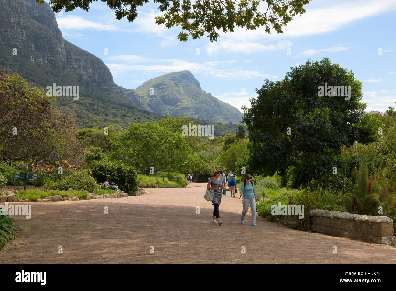 La gente camminare nei Giardini Botanici di Kirstenbosch, Cape Town, Sud Africa Foto Stock