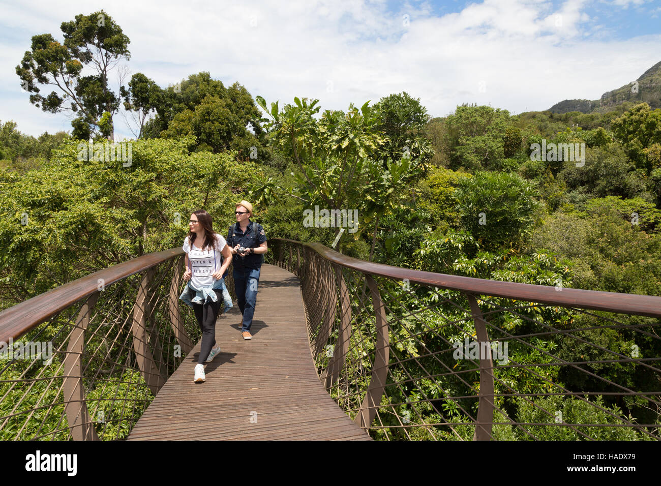 I turisti a piedi su la tettoia a piedi, Kirstenbosch National Botanical Garden, Città del Capo Sud Africa Foto Stock