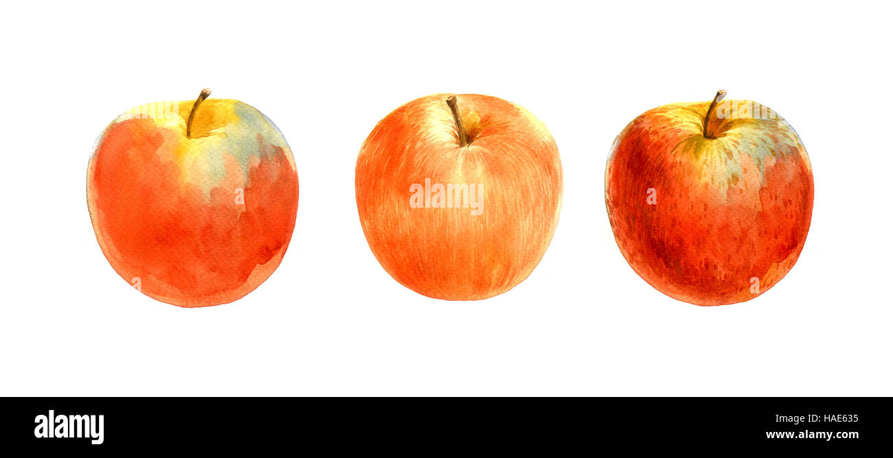 Mela Rossa acquerello su sfondi bianchi Foto Stock