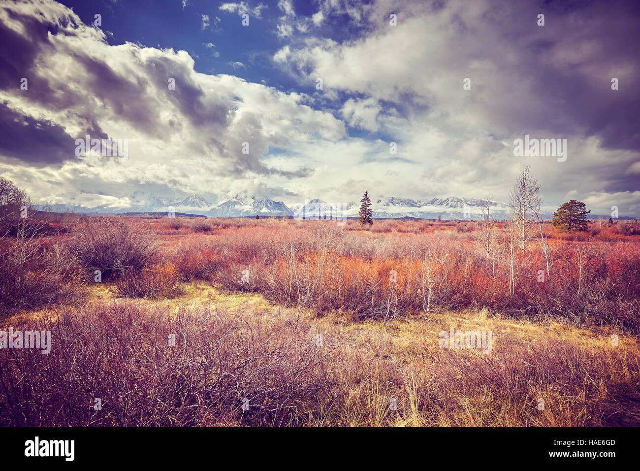 Vintage nei toni del paesaggio autunnale nel Parco Nazionale di Grand Teton, Wyoming negli Stati Uniti. Foto Stock