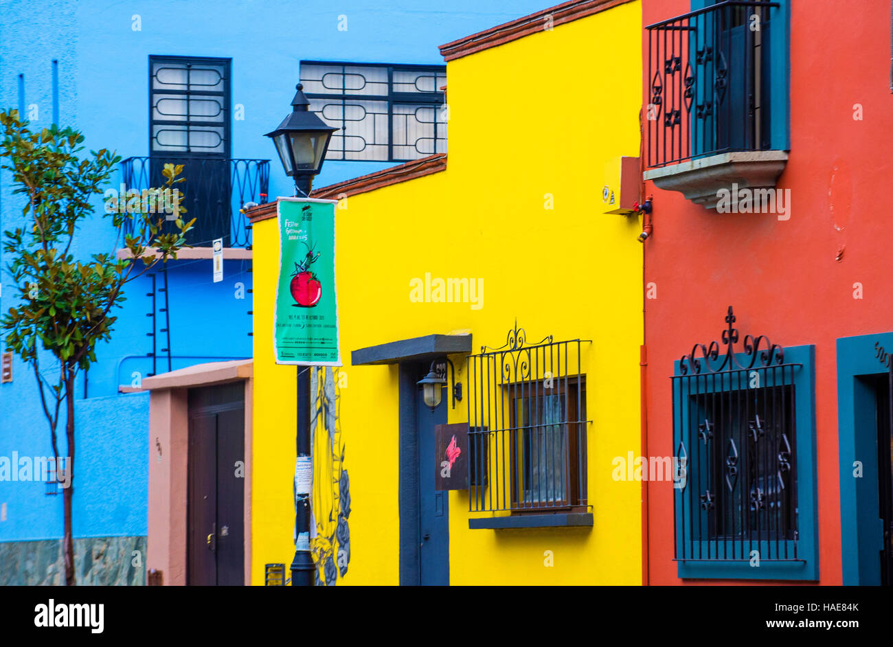 Street View di Oaxaca Messico. Oaxaca è la capitale e la città più grande dello stato messicano di lo stesso nome. Foto Stock