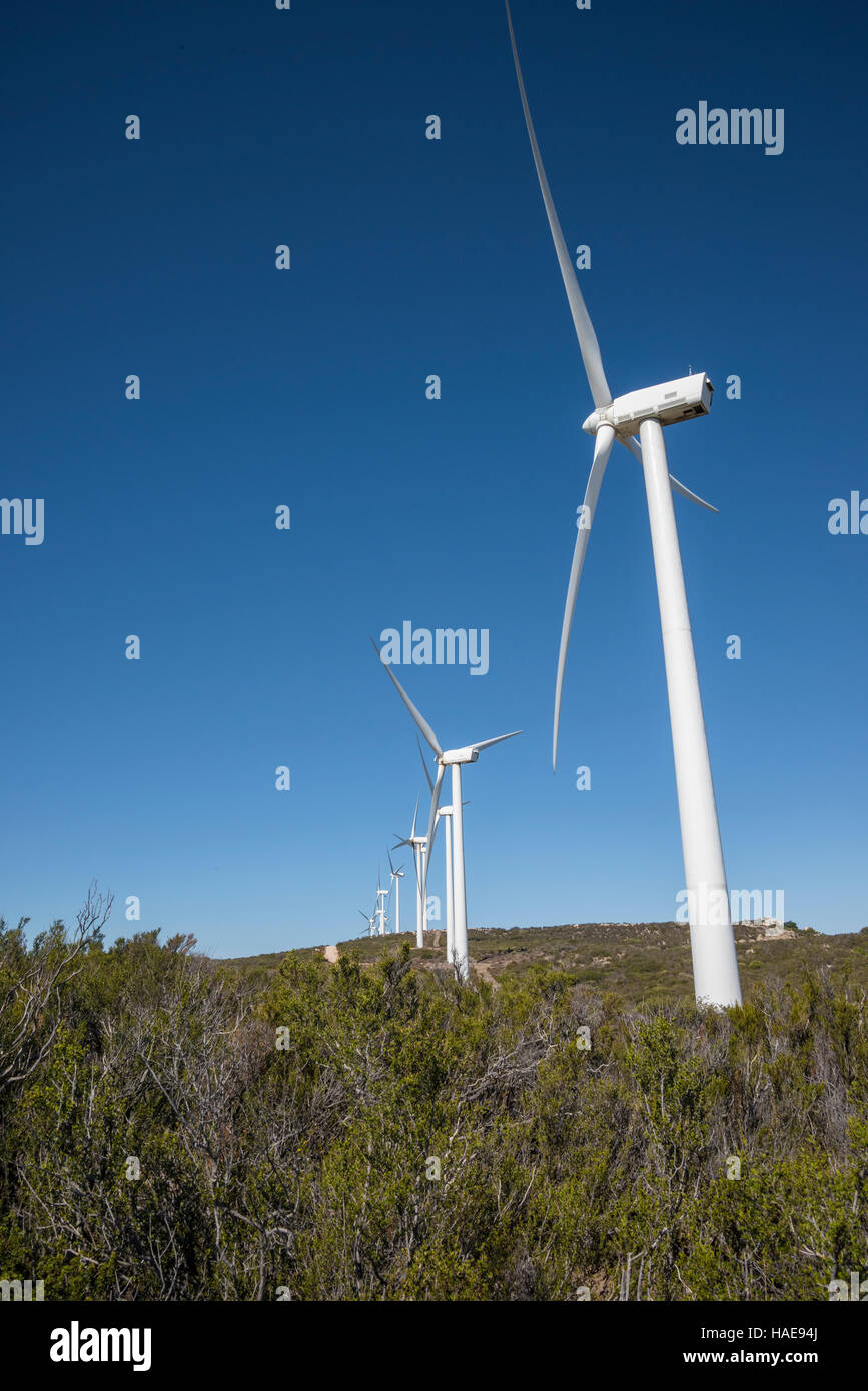 Kumeyaay progetto eolico di generazione di elettricità turbime wind farm, in Tecate dividere, la California del Sud Foto Stock