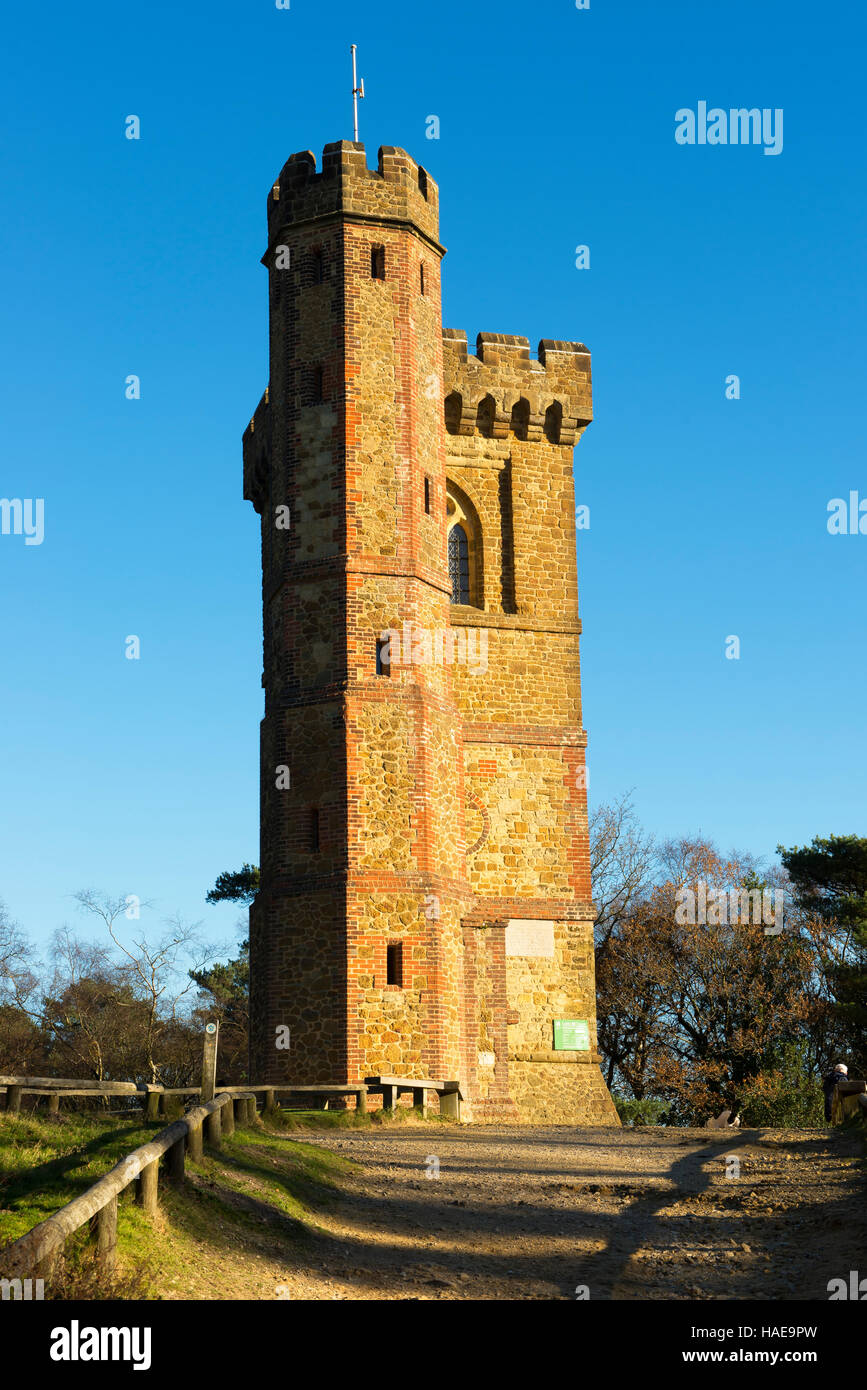 Leith Hill Tower, una proprietà del National Trust nel Surrey sulla North Downs fotografato dal pubblico bridleway Foto Stock