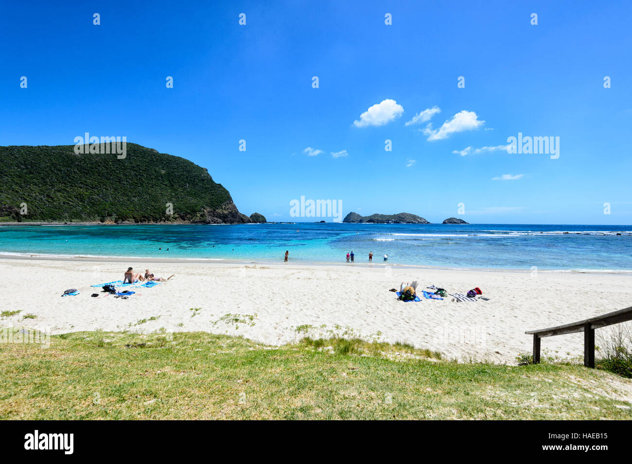 Ned spiaggia dell Isola di Lord Howe, Nuovo Galles del Sud, Mare di Tasman, NSW, Australia Foto Stock