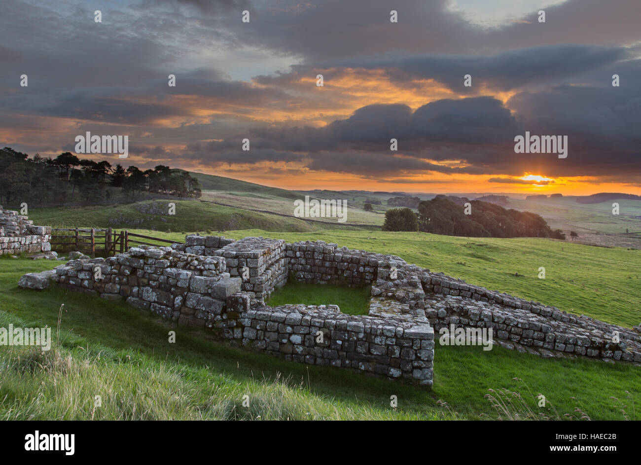 Housesteads Roman Fort, resti della porta orientale, torre sud si vede all'alba con basse nebbie in background Foto Stock