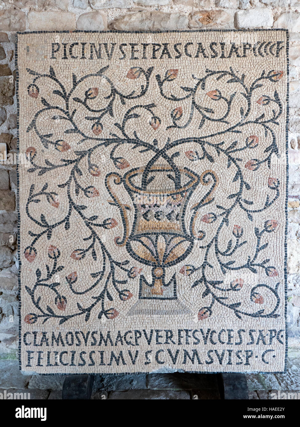 Iv secolo pavimento a mosaico, la Basilica Eufrasiana, Parenzo in Istria, Repubblica di Croazia. Foto Stock