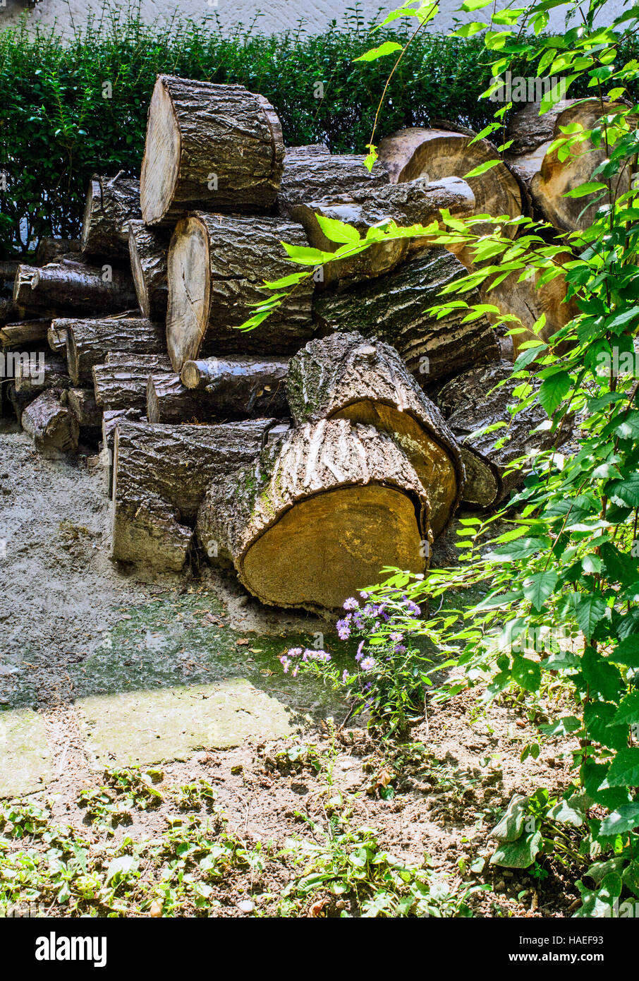 Legno tagliato a pezzi in attesa di essere utilizzati durante l'inverno. Foto Stock